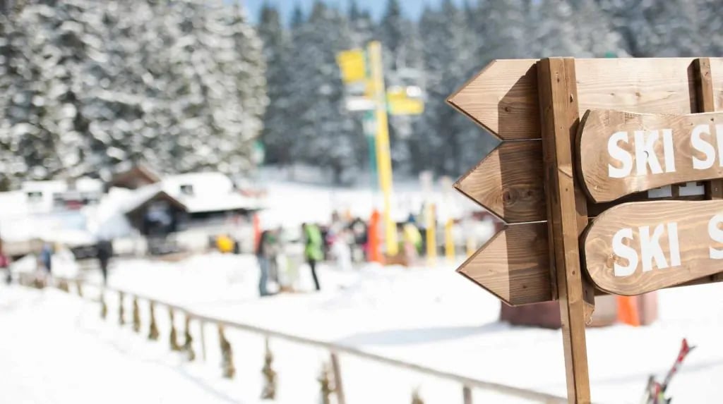 f48bda6ce1142ed16c142fcfeb5e3b3e html 95fc2369