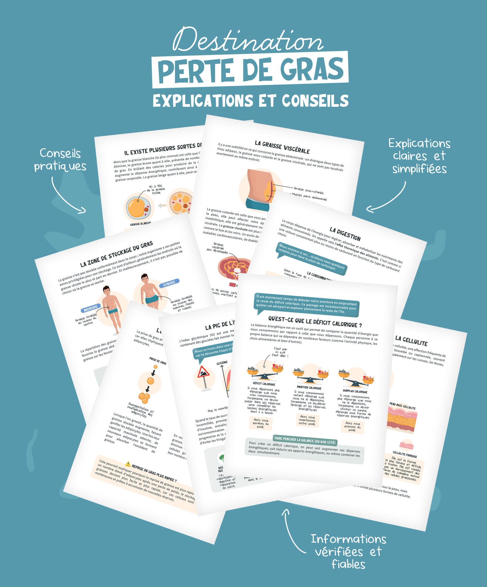 Destination Perte de Gras – Image 5