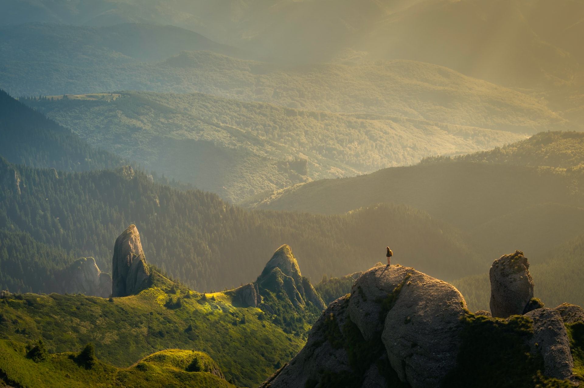 Trauma-Informed Somatic Services