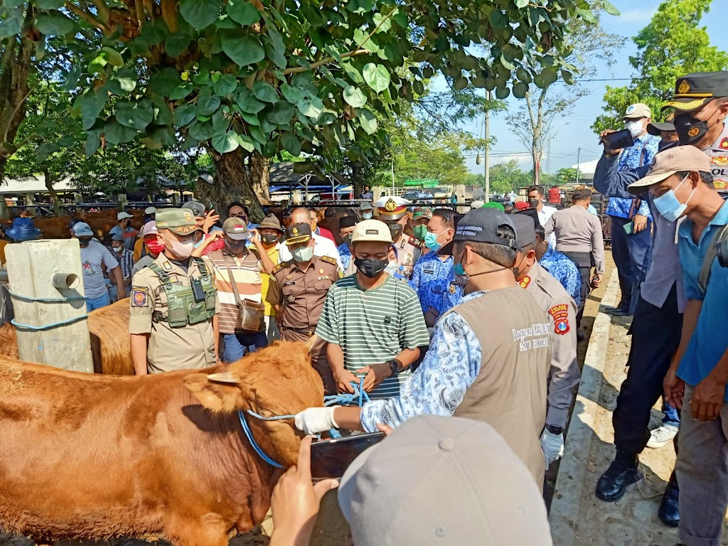 seputar-20blitar-20--20sidak-20pencegahan-20penyakit-20mulut-20dan-20kuku-20di-20pasar-20hewan-20dimoro.jpeg img-9