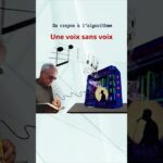 sète s’anime avec irène drésel et les Événements culturels de novembre