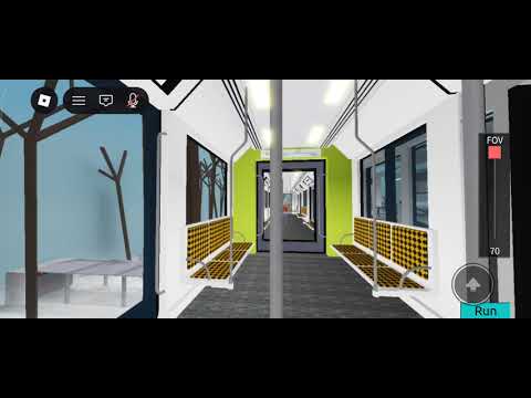 insolite à sète : une colonie de pingouins tordas en transit fatiguée par la tempête