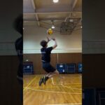 volley ball : l’arago de sète face à tours, des regrets malgré la logique