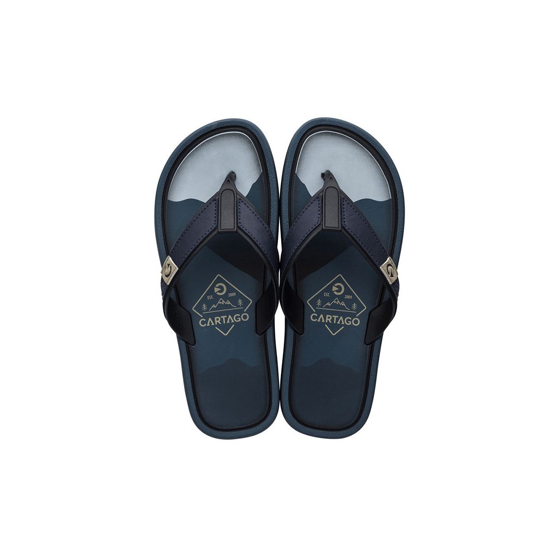 Chinelo Masculino Grendene Cartago Maiorca II NF 11022