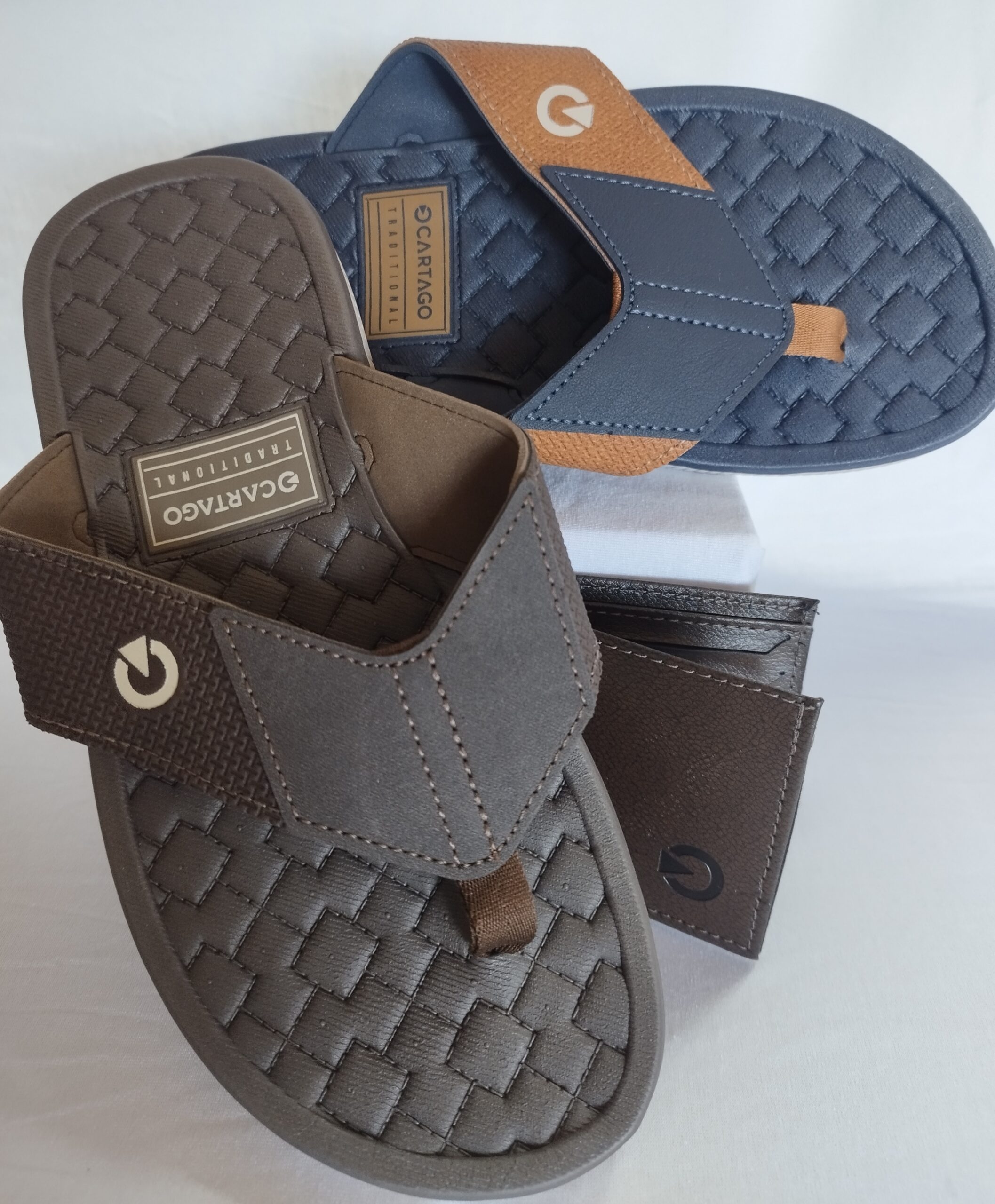 Chinelo Masculino Grendene Cartago Viena + Carteira 11584