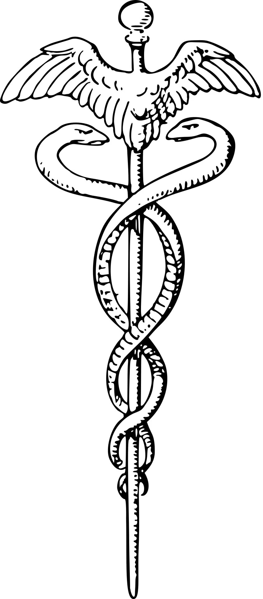 Caduceus