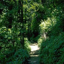 Finding unique travel niches