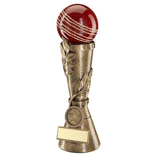 Cricket Award