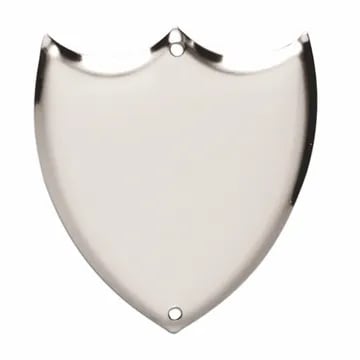 Chrome Steel Record Shield
