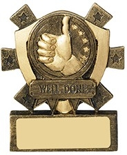 Well Done Mini Shield Award