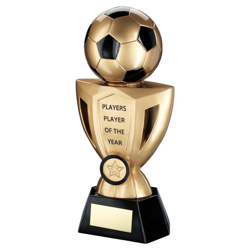 Player Of The Year