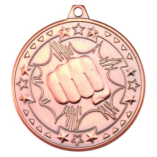 Bronze Martial Arts Medal