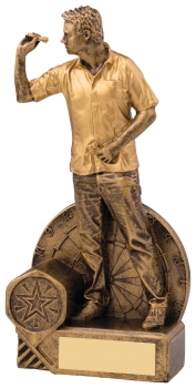 Male Darts Award