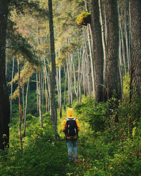 Les activités à faire au Sumatra pour 8 semaines