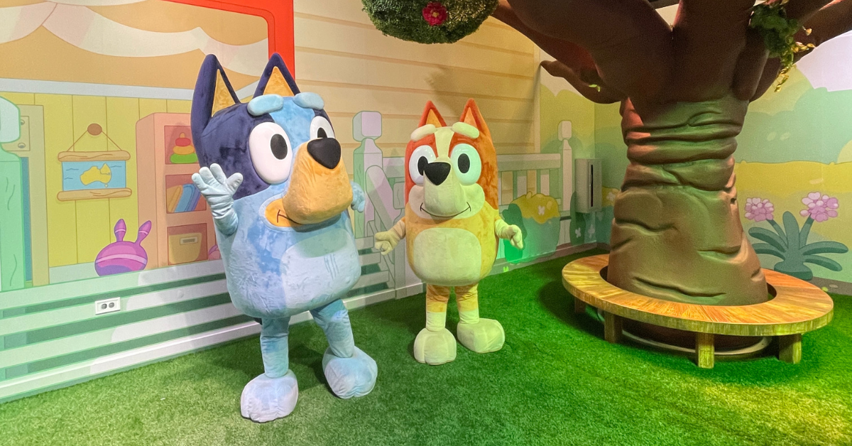 Bluey x CAMP: The 10 Best Things You Need to See - WDW Magazine
