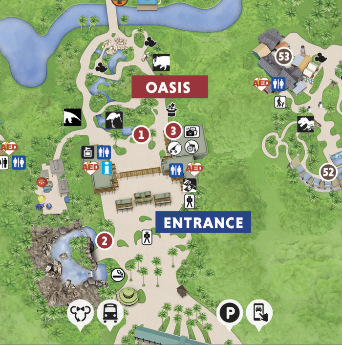 2025 Animal Kingdom Map – Walt Disney World - WDW Magazine