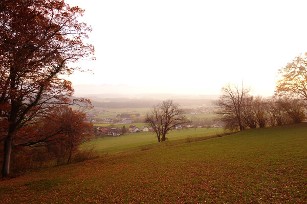 Selbstverständlichkeiten Selbstverständlichkeiten
