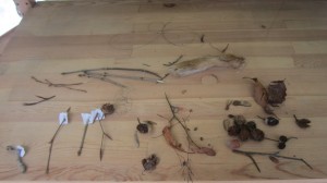 2.Waldläuferbande_87