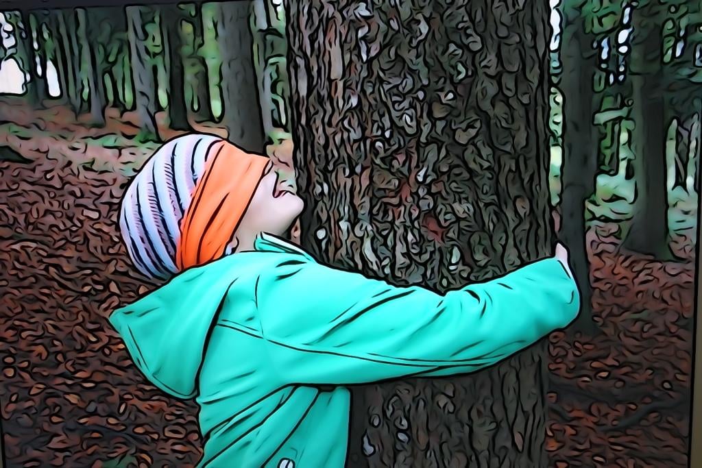 Die Natur spüren leicht gemacht Hug a tree