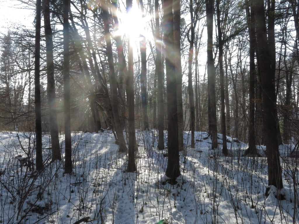 2.Waldläuferbande_20