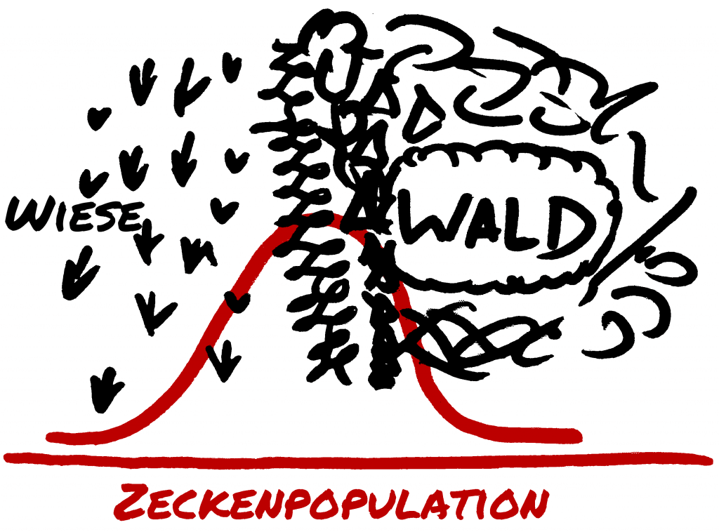 Zeckenpopulation - Verteilung