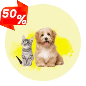 مستلزمات الحيوانات