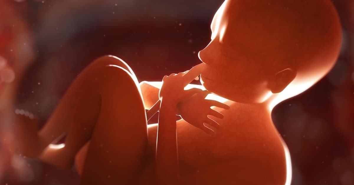 רשלנות רפואית טי ג'י איי  TGA1