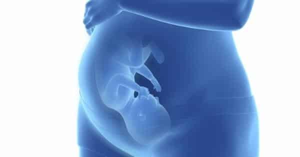 רשלנות רפואית באי אבחון כליה בודדת אגנית במהלך ההריון