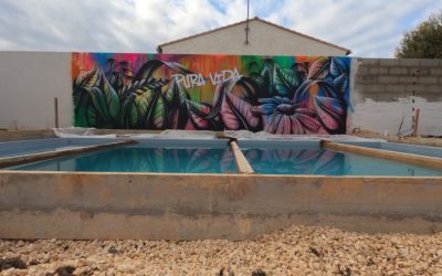Couleurs et mouvement : Street art tropical en bord de piscine