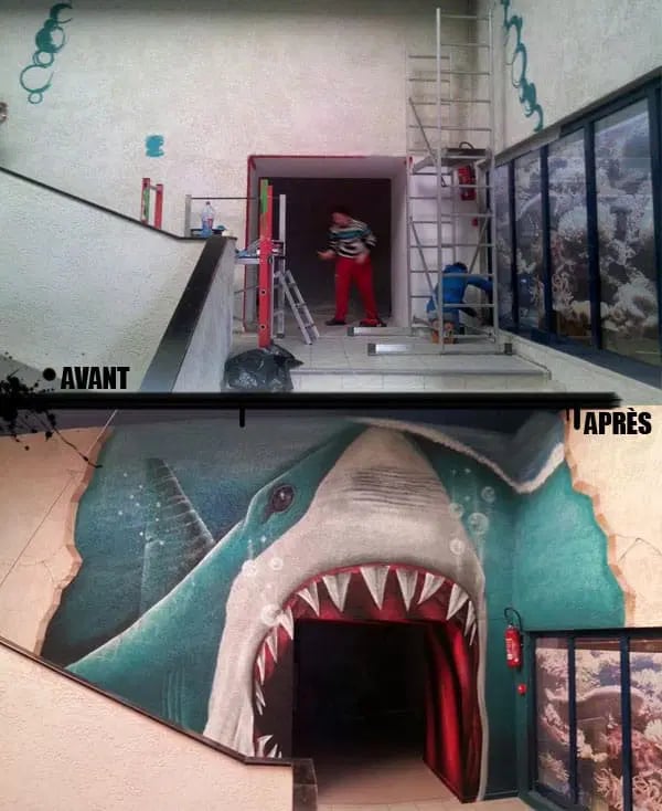 aquarium avant apres aquarium avant apres