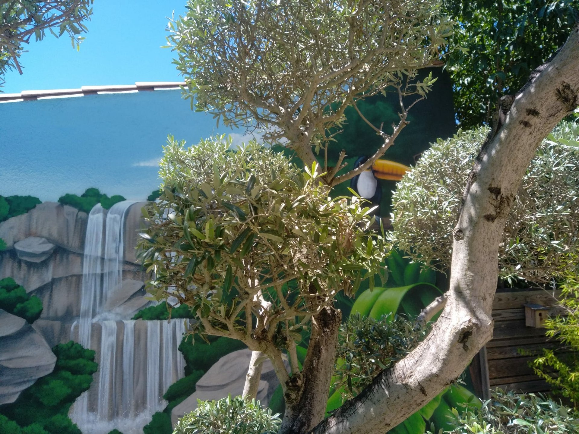 fb c aa dfcc fb c aa dfcc