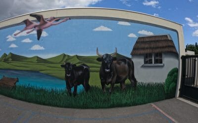 Palette de calme : Yep Production à l’école primaire