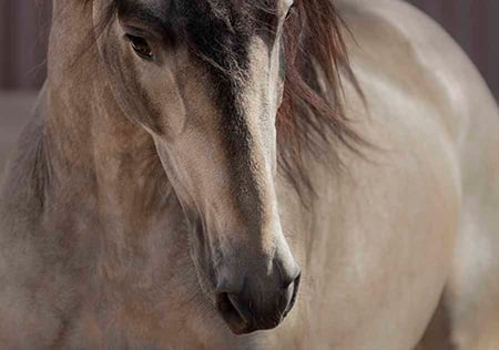 marketing digital equitech fit