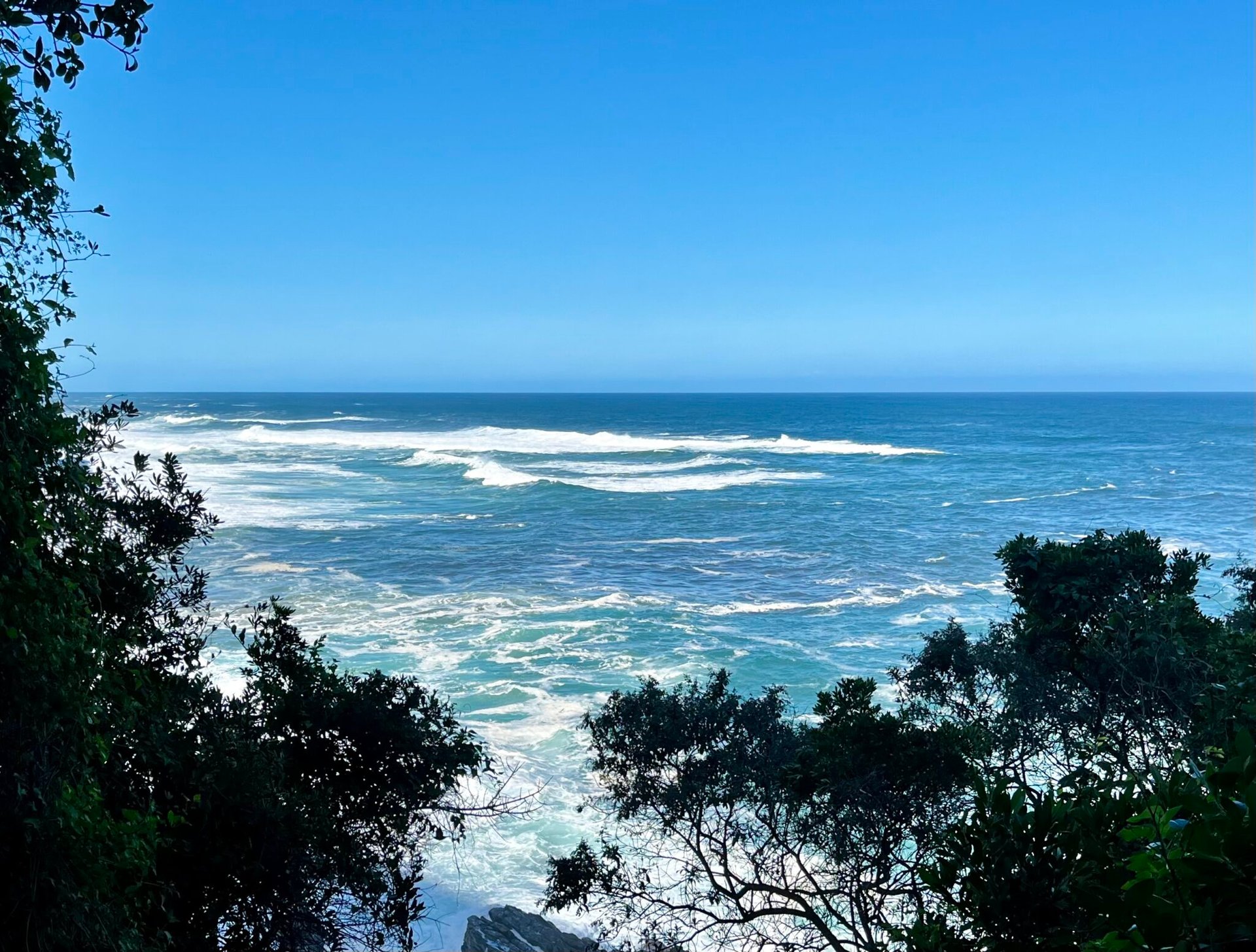 Ocean view from the boardwalk leading to the Tsitsikamma Suspension Bridges. One of our best hikes on the Garden Route