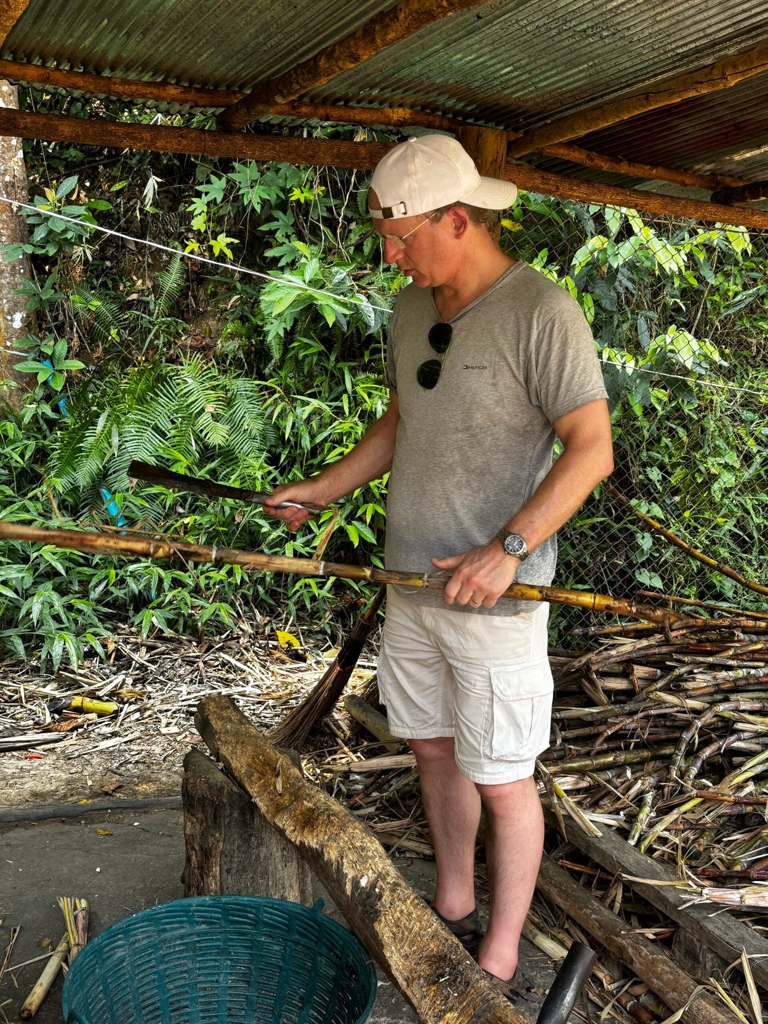 Chopping up sugarcanes in an ethical elephant sanctuary in Thailand