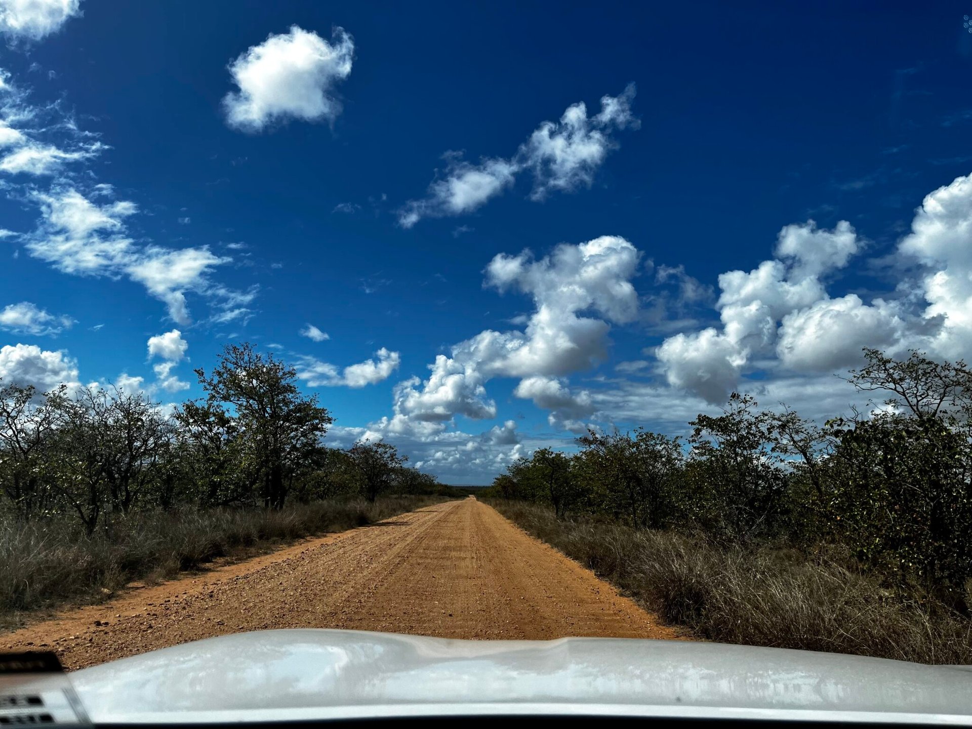 Dirt road as seen over the hood of a white car, blue sky and clouds. Kruger National Park Post to help decide: guided safari, game reserve or self-drive?