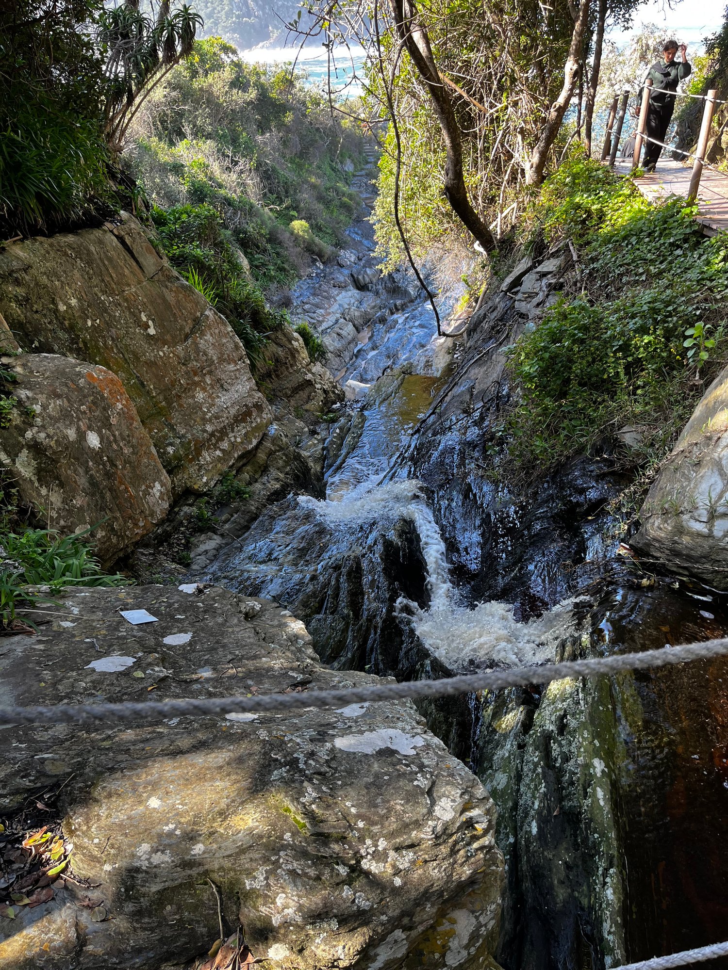 Path up to the suspension bridges in Tsitsikamma National Park. One of our best hikes on the Garden Route