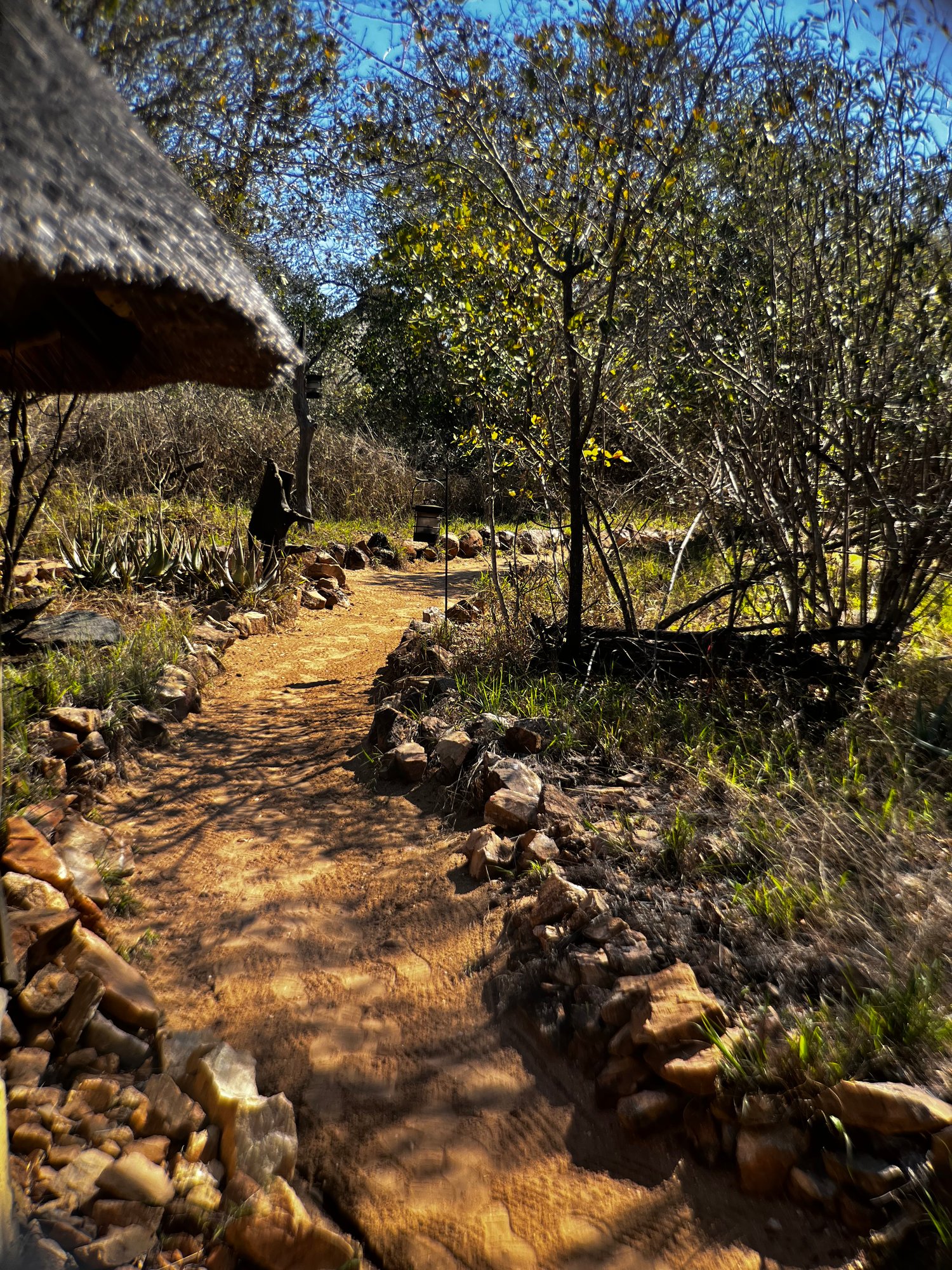 Walking around Umlani Bushcamp during the day: this is what it looks like.