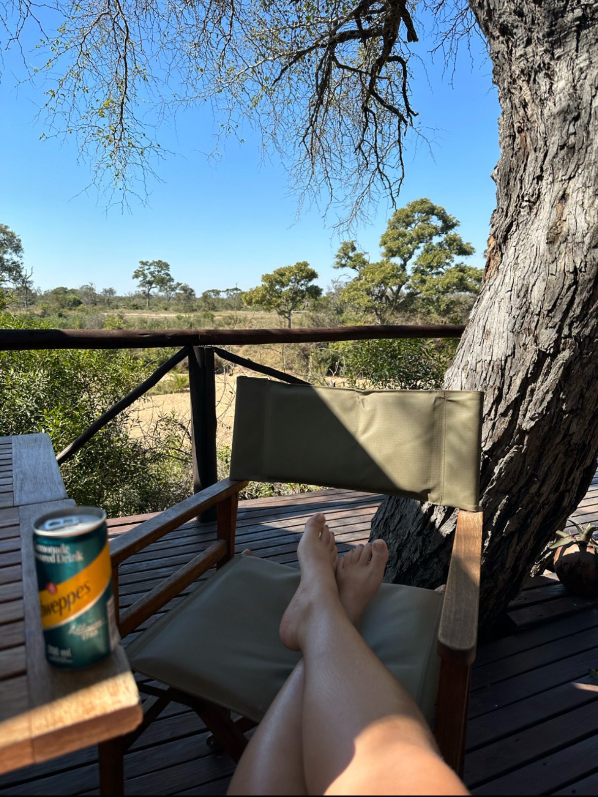 View from the deck in Umlani Bush Camp, South Africa