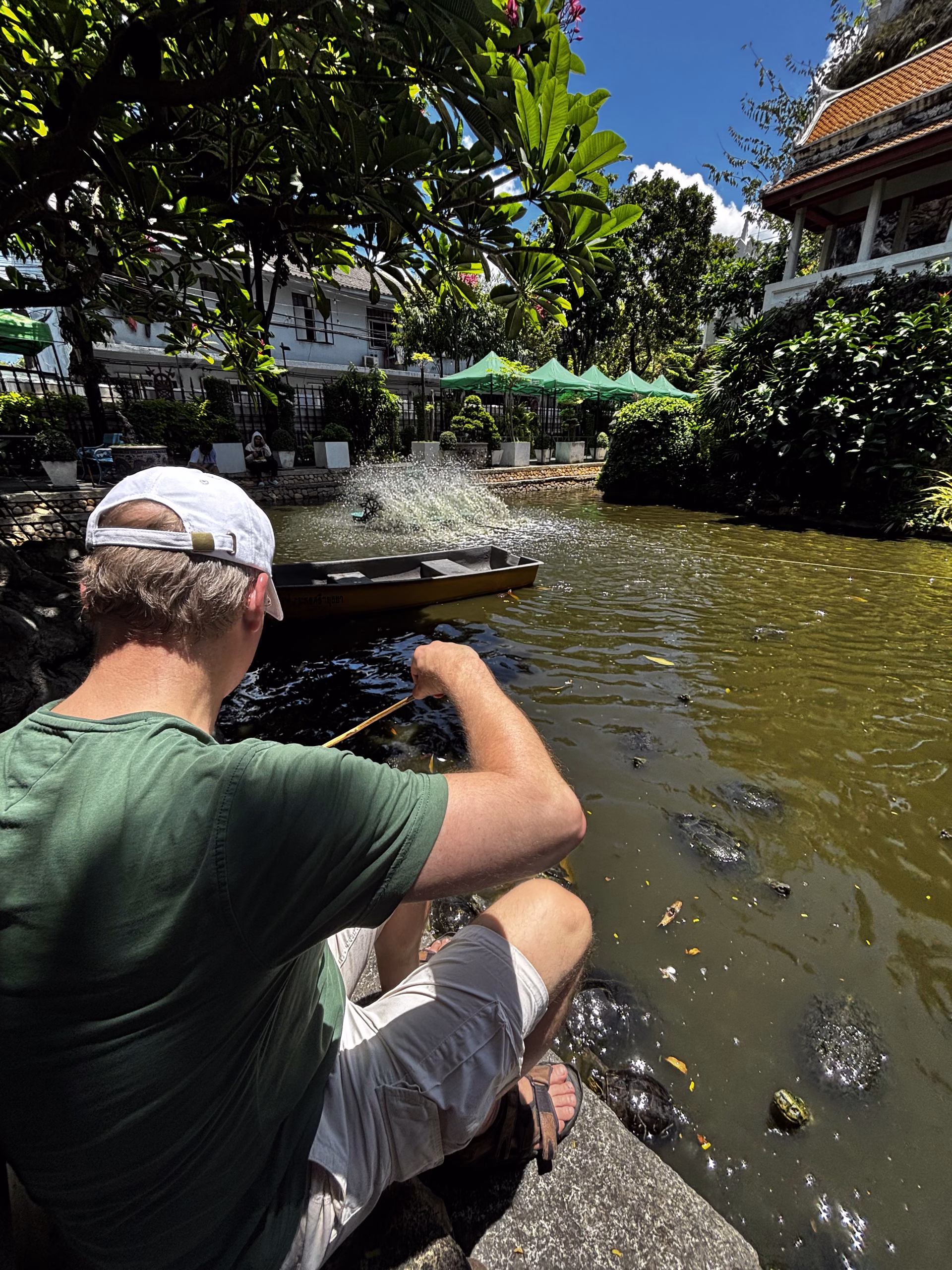Feeding turtles in Bangkok