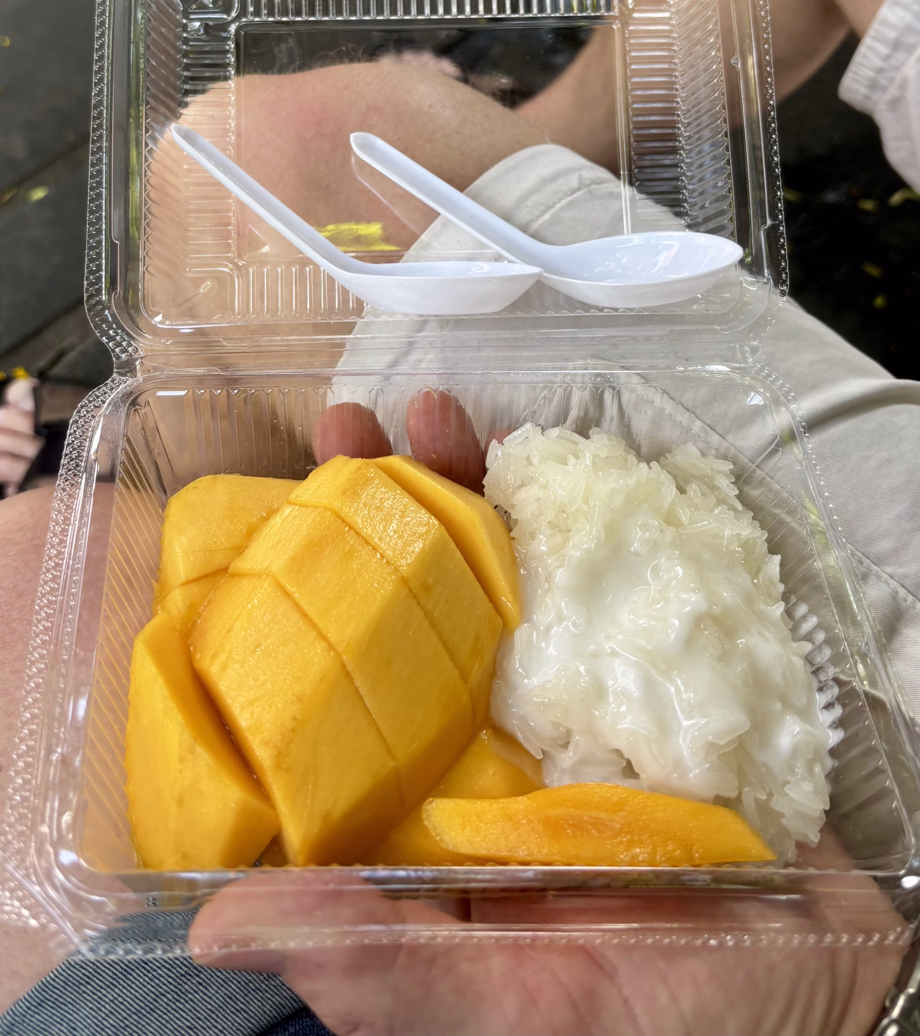 Mango sticky rice