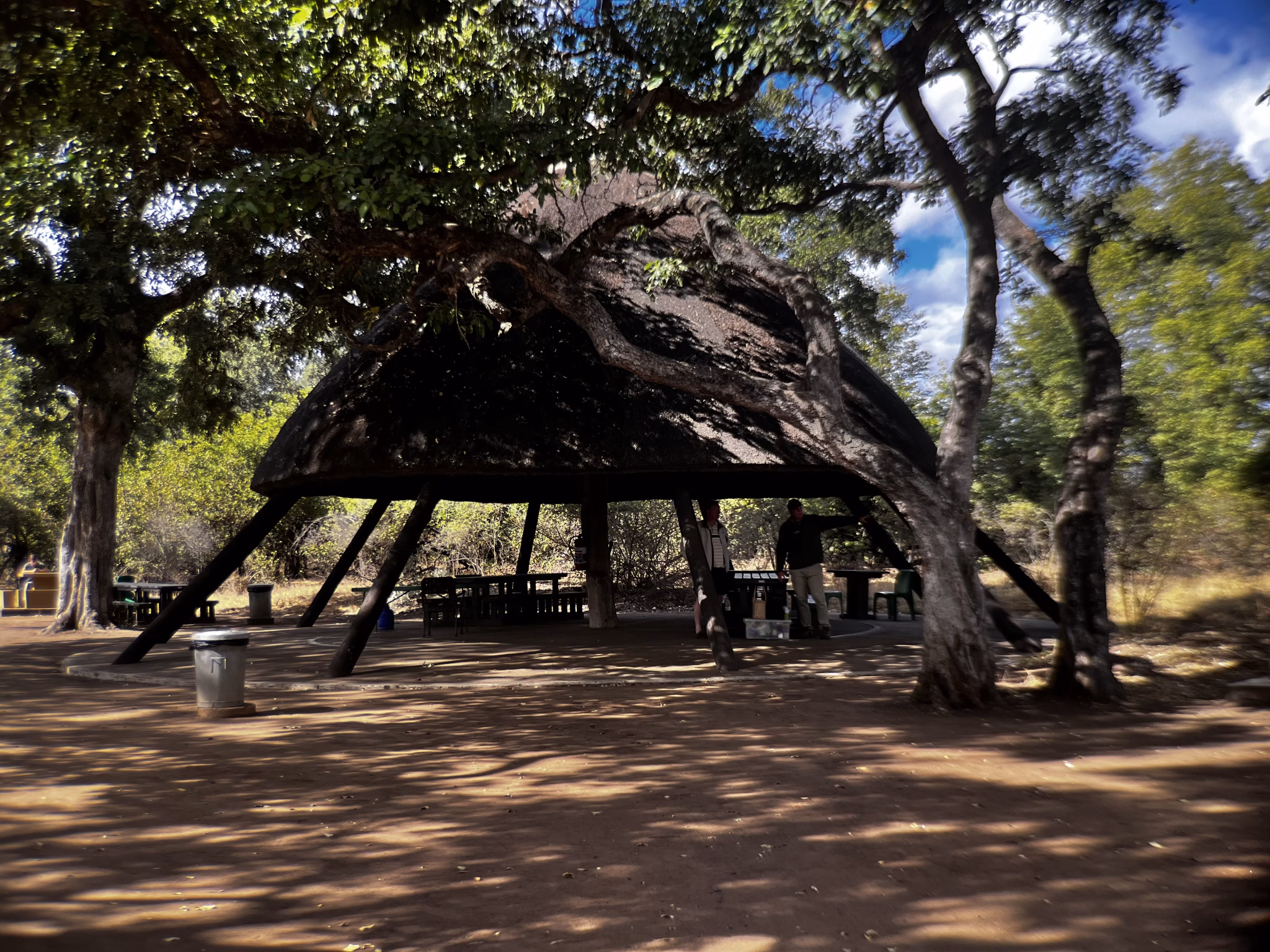 Can I still go on safari at 55+? We did, in Kruger National Park