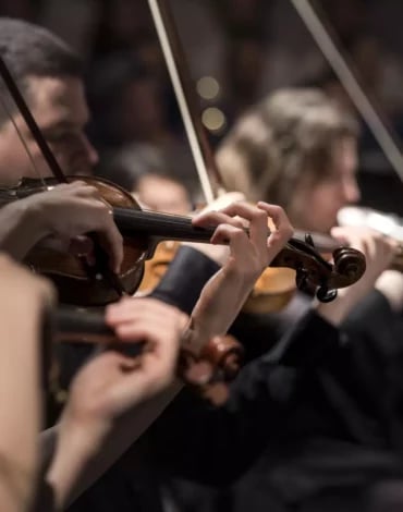 Hand of a man playing the violin