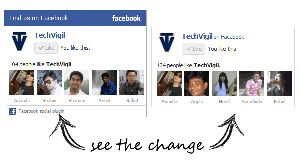 Facebook Like Box without header and footer img-1