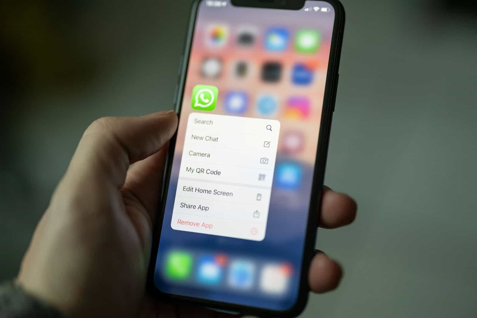 whatsapp, web, person holding black android smartphone