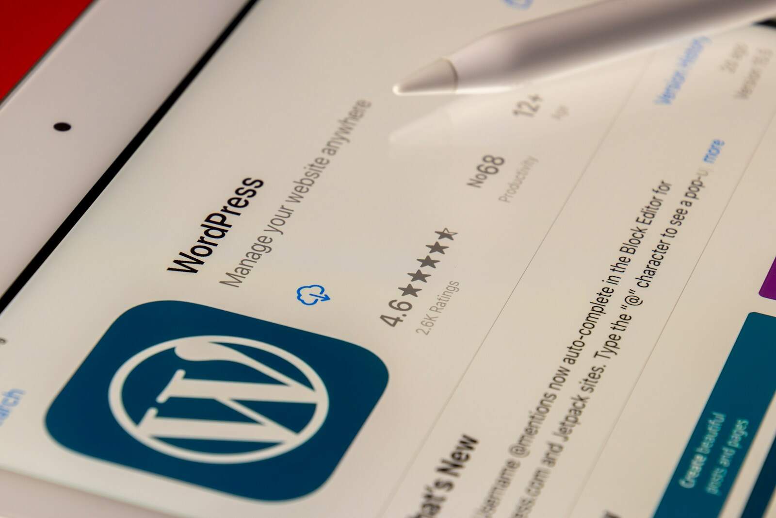 Wordpress, Hosting, Security, white and blue printer paper