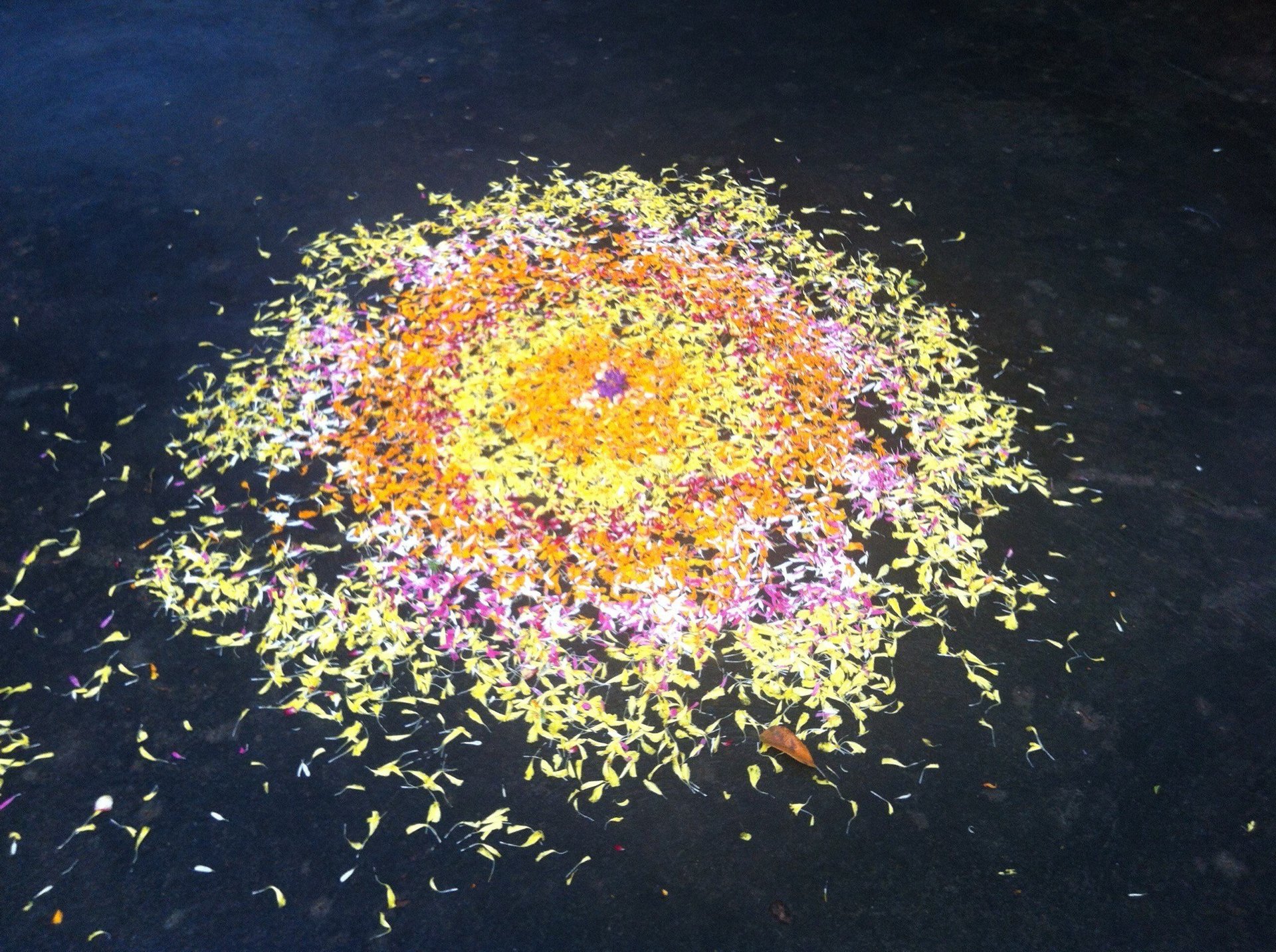 color-travel-terry-knickerbocker-studio-authentic-living color-travel-terry-knickerbocker-studio-authentic-living