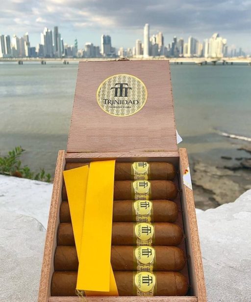 Trinidad Vigia 20 The Best Cuban Cigars