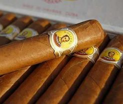 Bolivar Corona Extra 7 The Best Cuban Cigars
