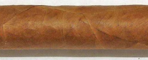 Vegas Robaina Don Alejandro Vintage 7 The Best Cuban Cigars